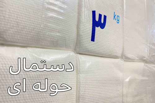 دستمال کاغذی حوله ای مخزنی پلاس ( 3 کیلویی )